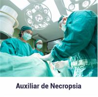 avatar_auxiliar_necropsia