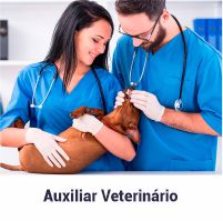 avatar_auxiliar_veterinario